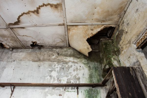 Water Damage Service in Baltimore